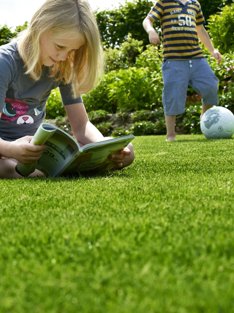 BS Childs Play Lawn Seed