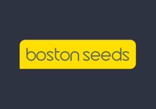 About Boston Seeds