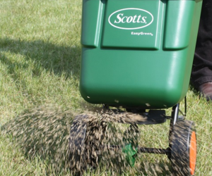 Grass Seed Spreading - Grow a Lawn Using Grass Seed - Boston Seed