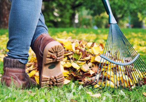 Do I need to rake my lawn?