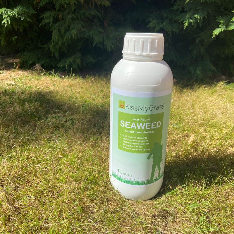 KissMyGrass Seaweed Liquid Lawn Fertiliser