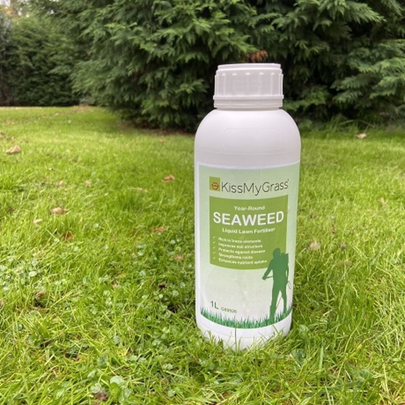 KissMyGrass Seaweed Liquid Lawn Fertiliser