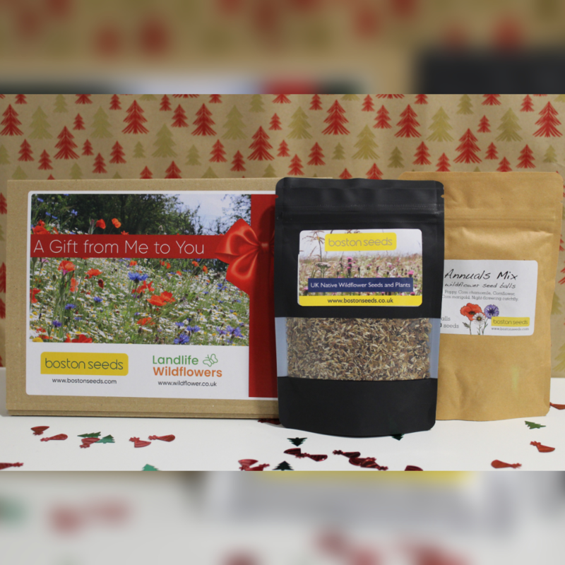 Perfect for Pollinators Letterbox Gift Set