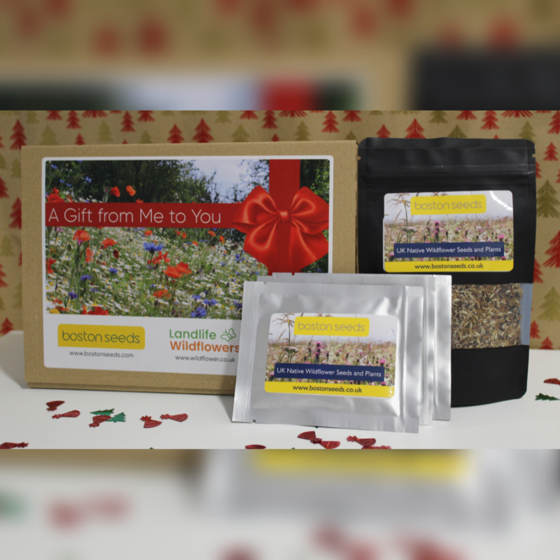 Wildflower Christmas Letterbox Gift Set