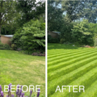 The Summer Lawn Transformation