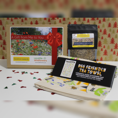 Bee Friendly Letterbox Gift Set